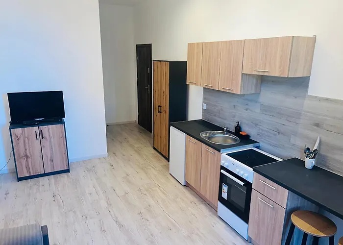 Apartman Lecha Street C *